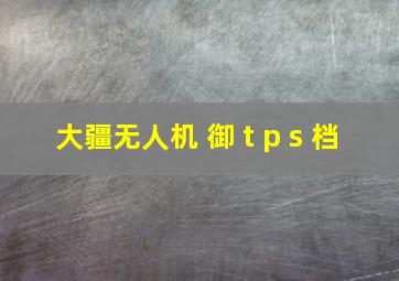 大疆无人机 御 t p s 档